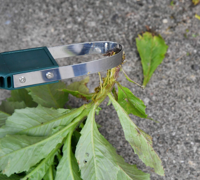 コンパクトで収納しやすい除草機のサイズ感