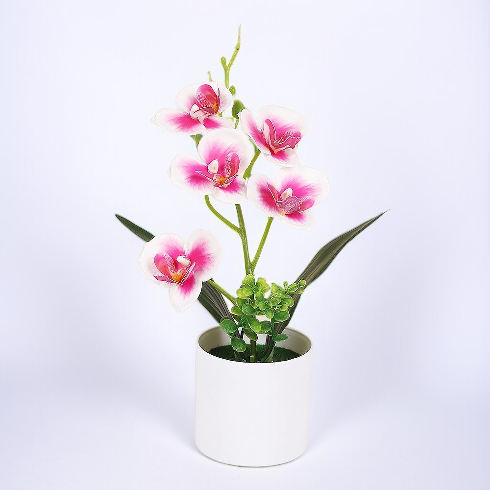 胡蝶蘭の模造鉢植え