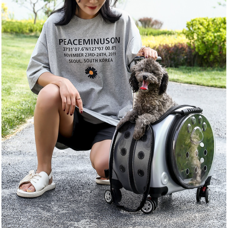 多目的透明ペットトロリーケース ショルダーポータブル小型スペースカプセル大容量お出かけバッグ ペット犬猫バッグ2透明ケース