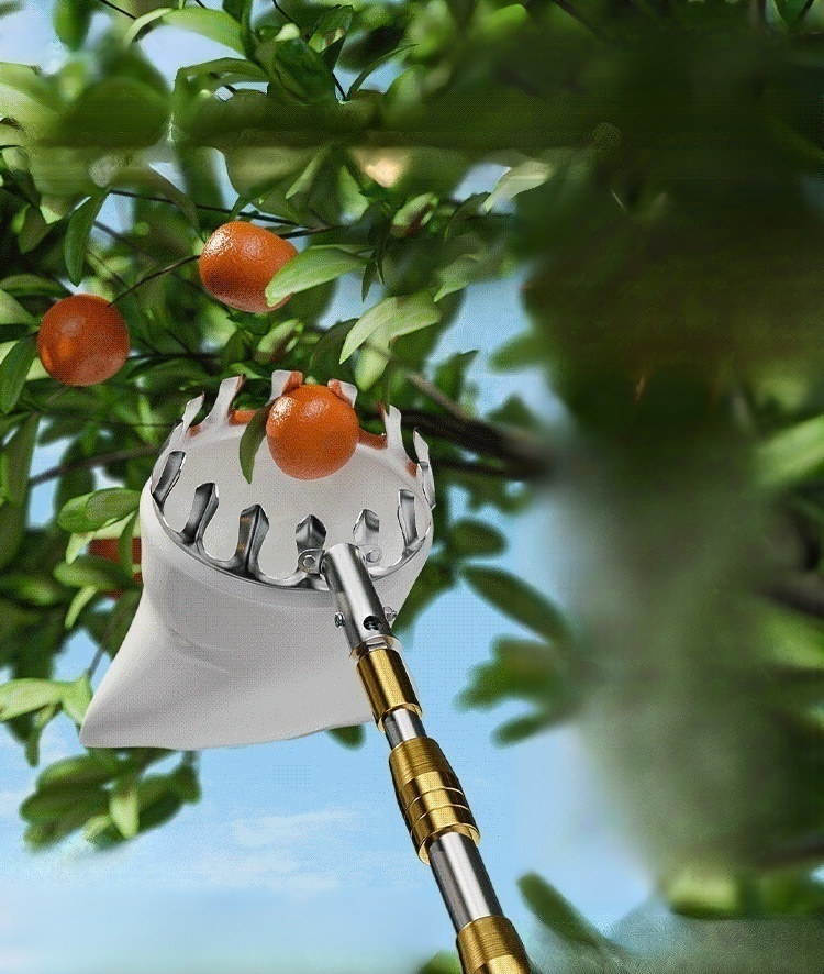 Teleskopstange Obstpflücker