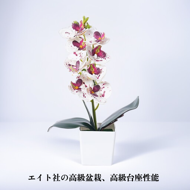 胡蝶蘭造花盆栽