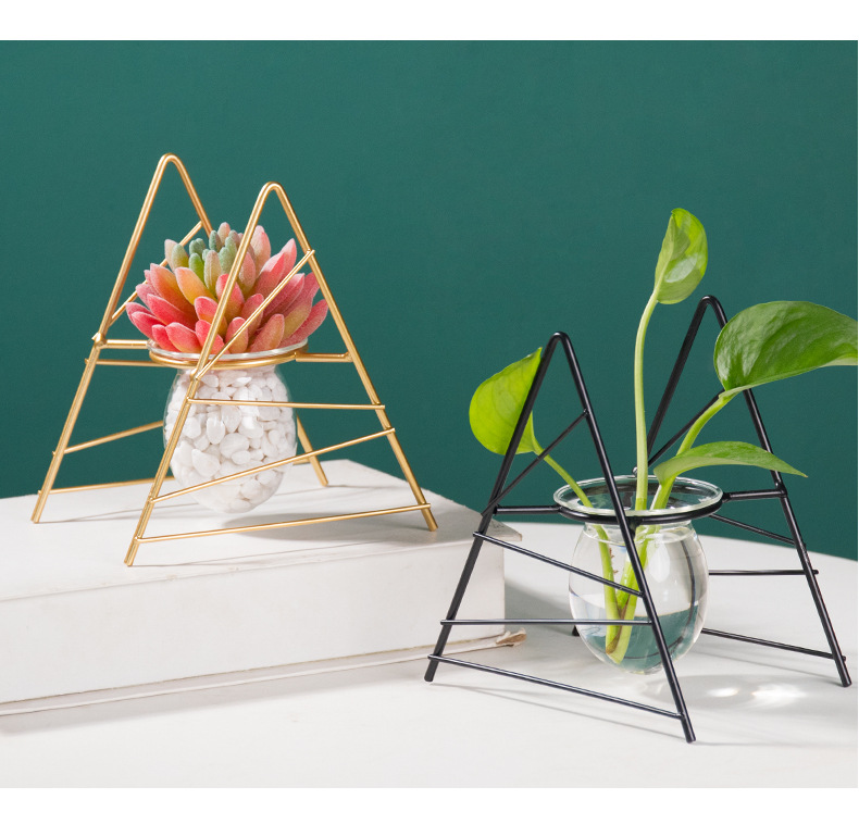 Stylová skleněná váza na vodní květiny a rostliny