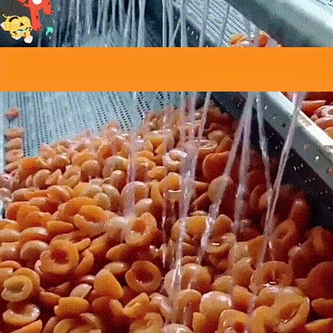 죽봉 소금 말린 비파 