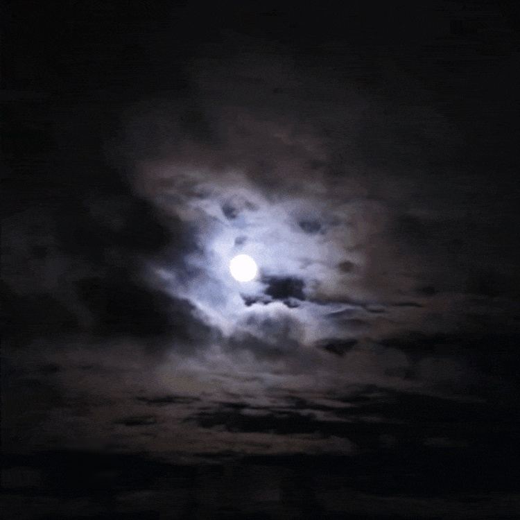 Monokular HD z noktowizorem