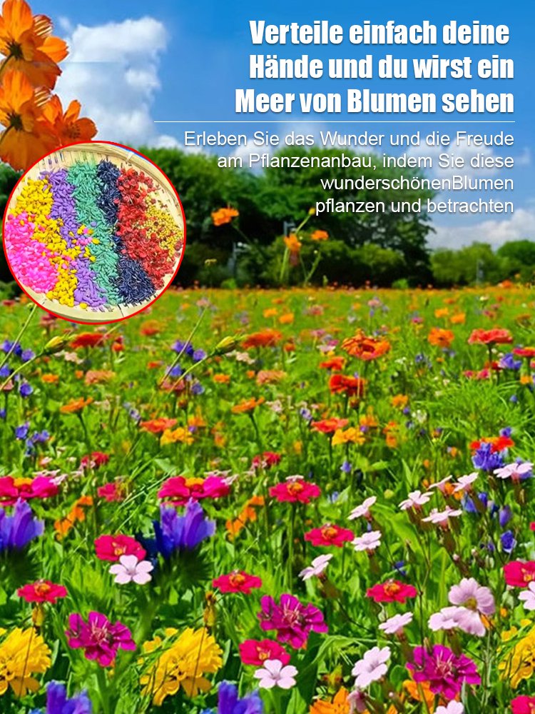 【Vier-Jahreszeiten-Blumen】Blumenmeer-Kombinationssamen
