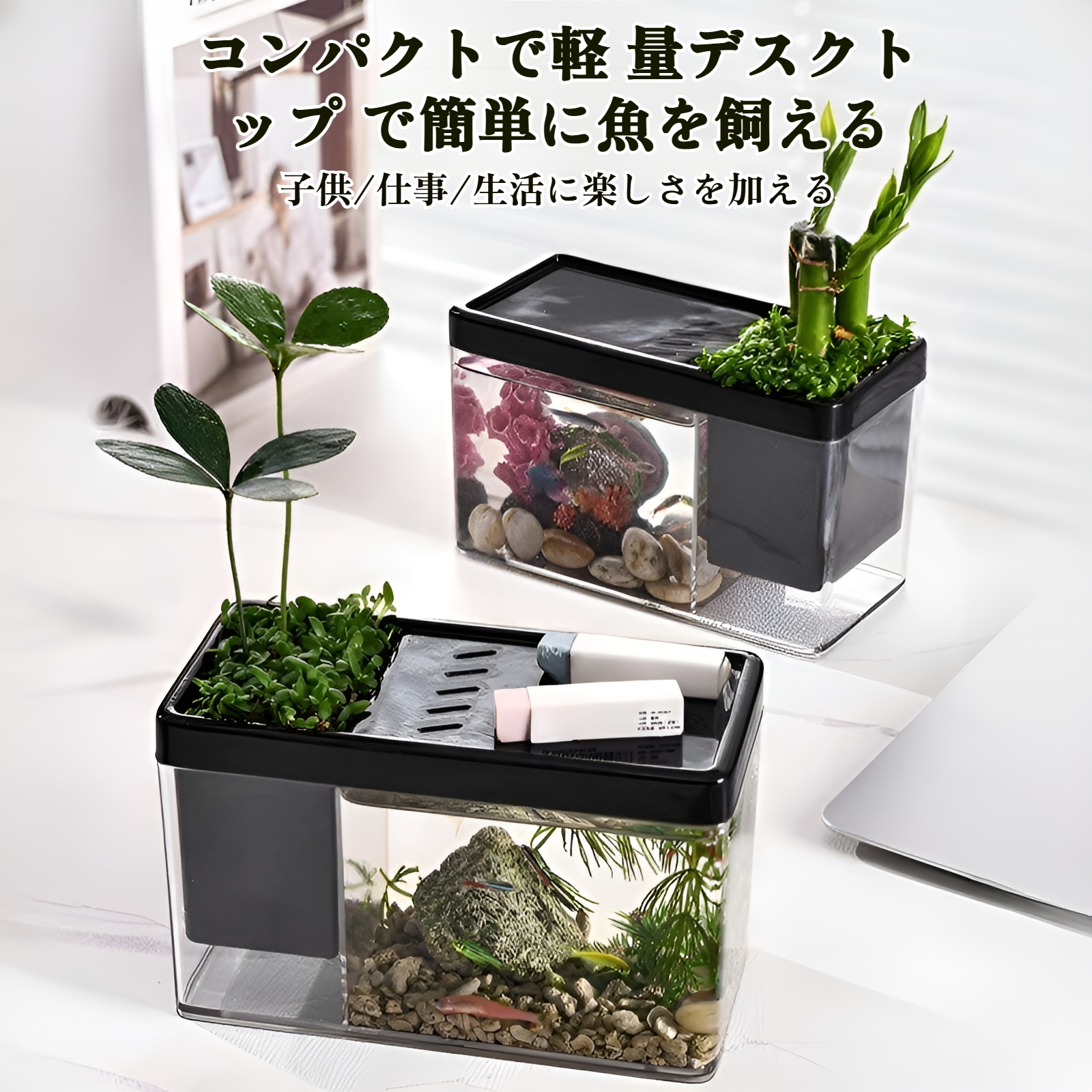 風景フルセットの厚くなったガラスの卓上水槽マイクロ風景緑の植物リビングルームのホームデスクトップ水槽