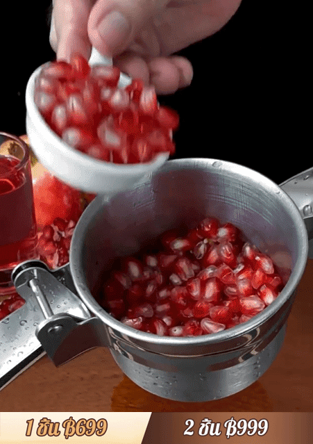 【อเนกประสงค์】ที่คั้นน้ำผลไม้สแตนเลสในครัว - กล่องบรรจุสวยงาม 