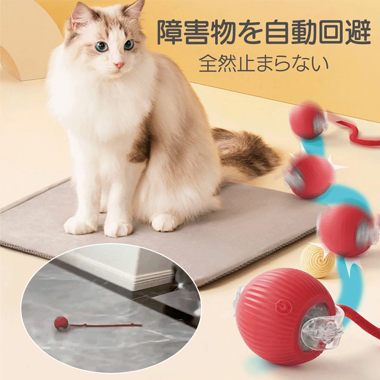 球体自動猫じゃらし
