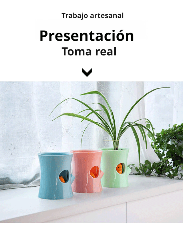 Maceta para plantas con diseño infantil y funcionalidad
