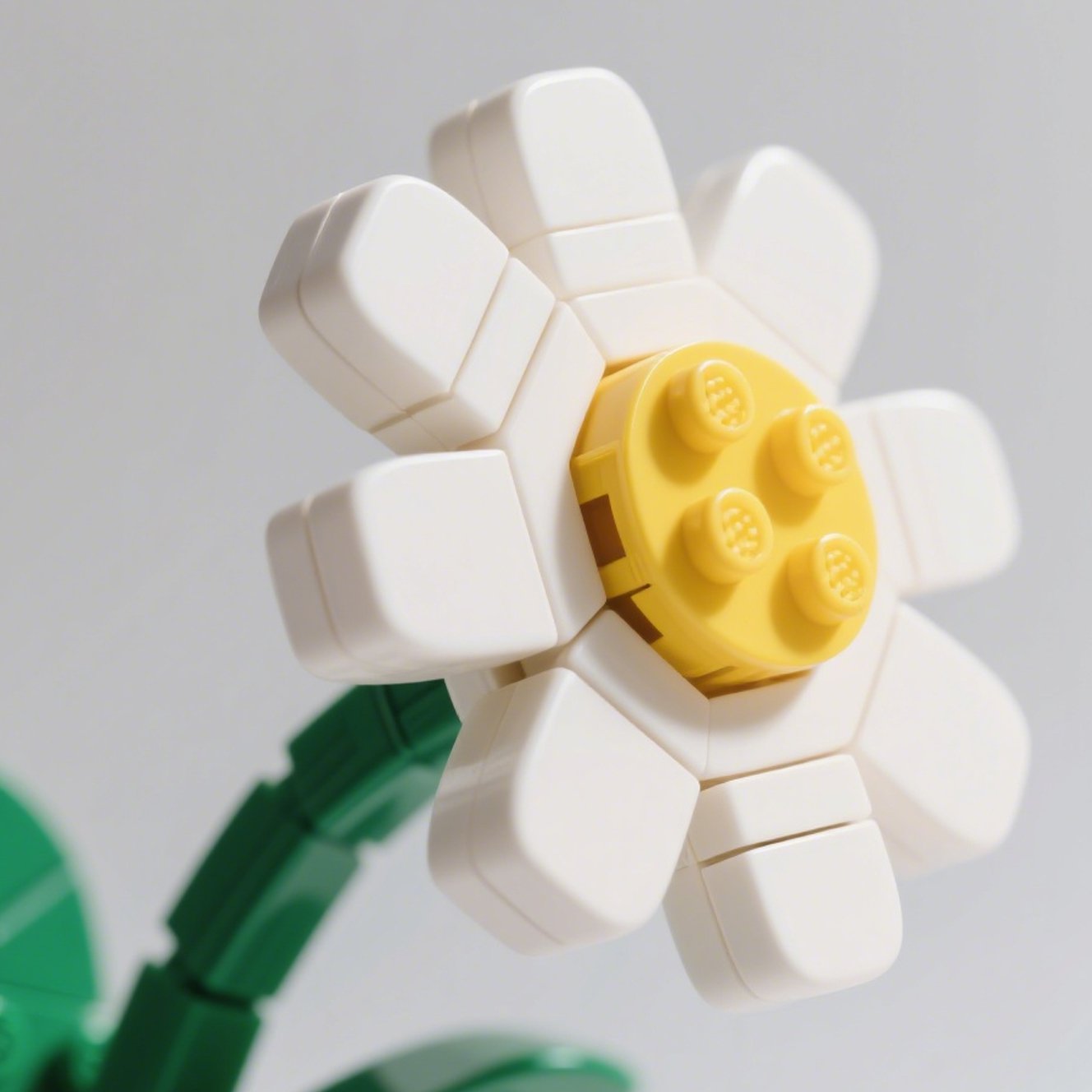 Sada stavebnic modelu sedmikrásky – balení 6 ks