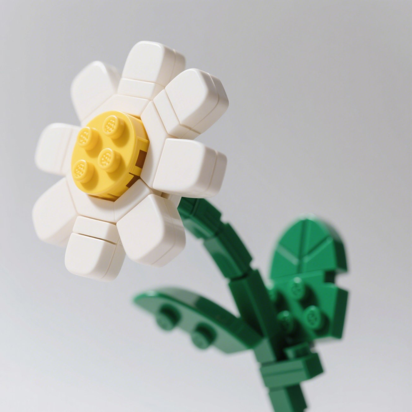 Sada stavebnic modelu sedmikrásky (6 ks)