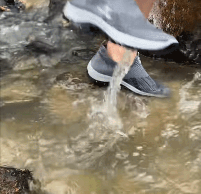 下载-(4)2024671534552.gif
