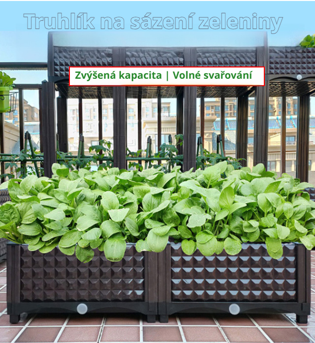 Front view of Krabice na zeleninu se sestřihem vegetable storage box