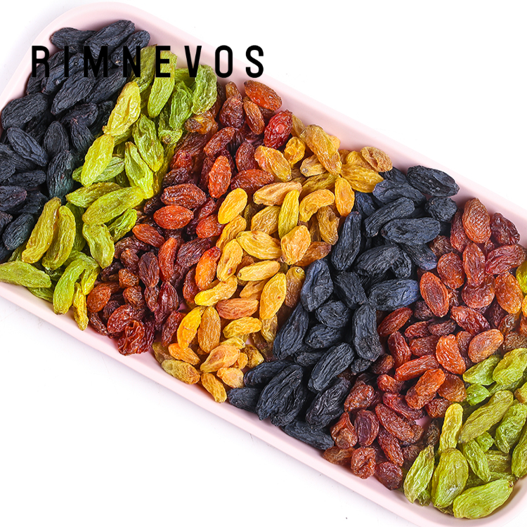 色とりどりのレーズンが並ぶお皿