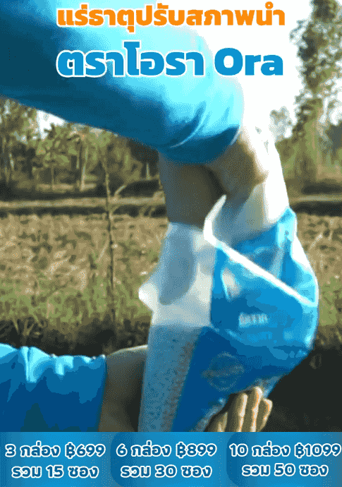 【สำหรับบ่อปลาและตู้ปลา】แร่ธาตุปรับสภาพน้ำ