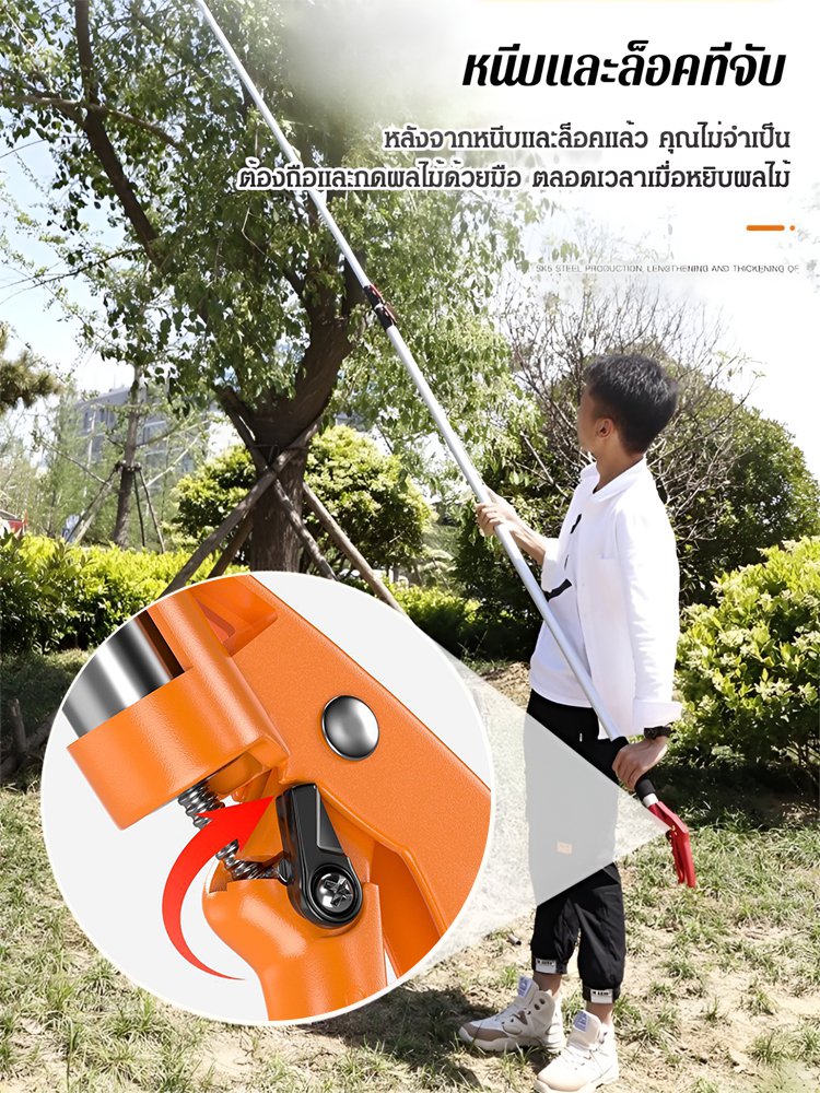 กรรไกรตัดแต่งกิ่งสแตนเลสอเนกประสงค์สำหรับงานสูง