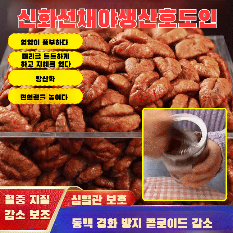 히코리 알맹이 신상 야생 생채 통조림 오리지널 히코리 알맹이