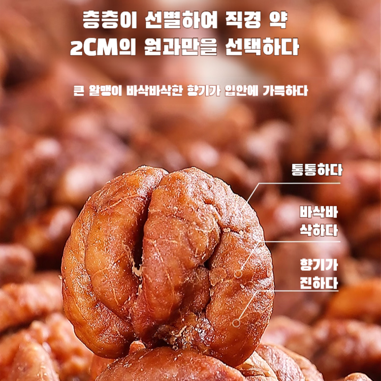 히코리 알맹이 신상 야생 생채 통조림 오리지널 히코리 알맹이