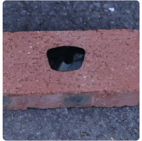 10.gif