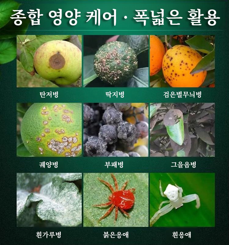 [괴물용량 500L] 지긋지긋한 해충·세균 1초 싹쓸이! 기적의 식물 만능 보호제