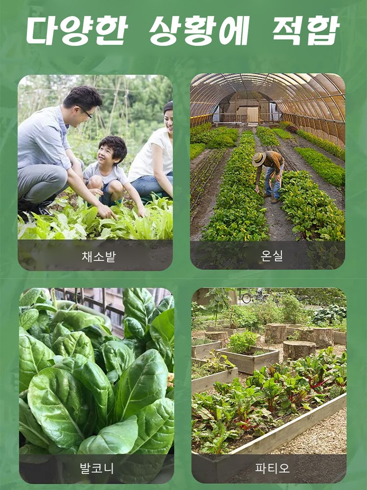 【쉽게 재배】엄지 수박 씨앗