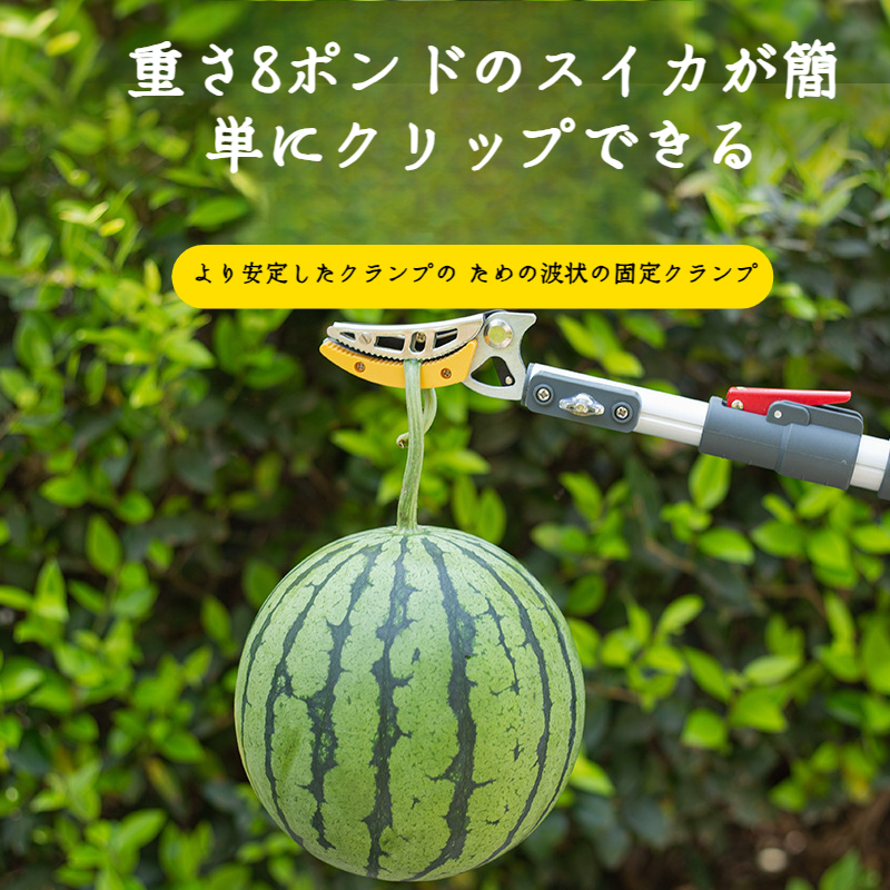 プルーン・フルーツ・ピッカー・シザーズ 空中摘み取り伸縮ポールフルーツ ドラゴンアイライチピッキングツール