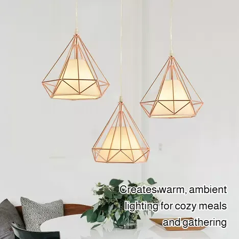 Birdcage Personalized Hanging Wire Lamp