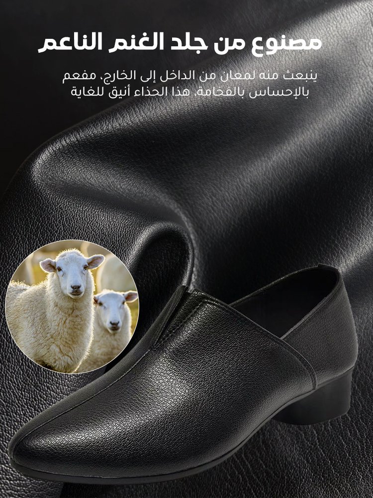 حذاء أنيق بكعب منخفض مع مقدمة مدببة