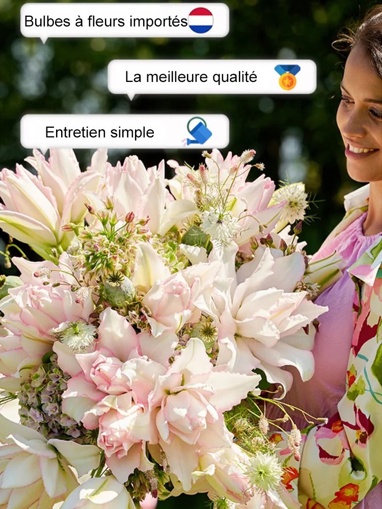 Lys bulbeux fleuri toute l'année