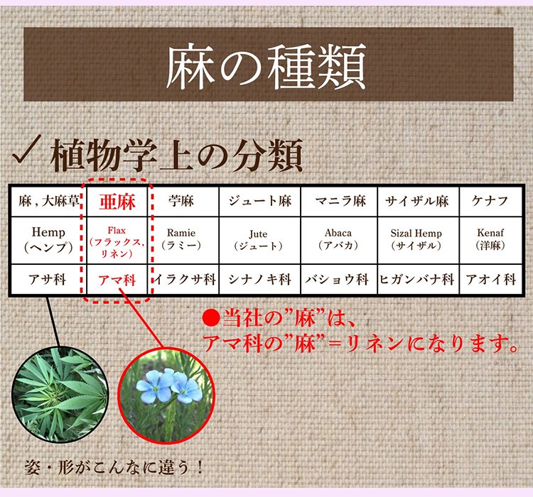 翻译件-JL-纯亚麻大垂感棉麻裤-1246730_09.jpg