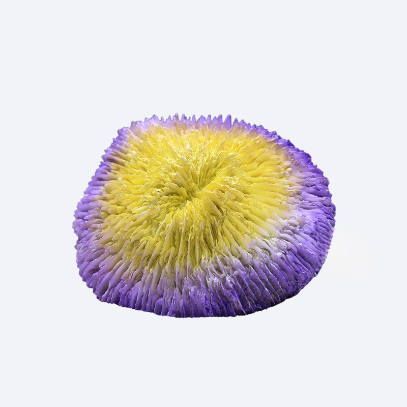 1a1c0ec69f2de9207a6e13d514d4416e.png