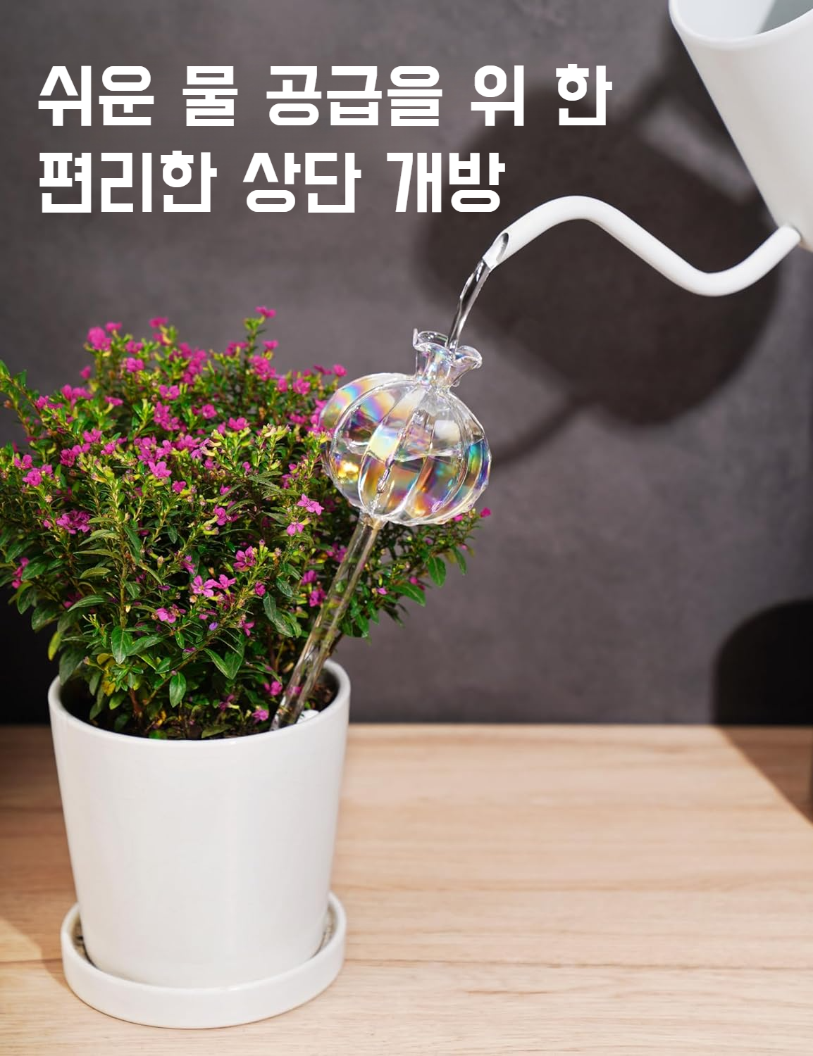 유리 점적기와 식물 화분 디테일 사진