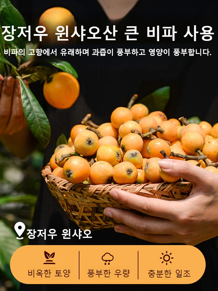 천연 죽염 말린 비파