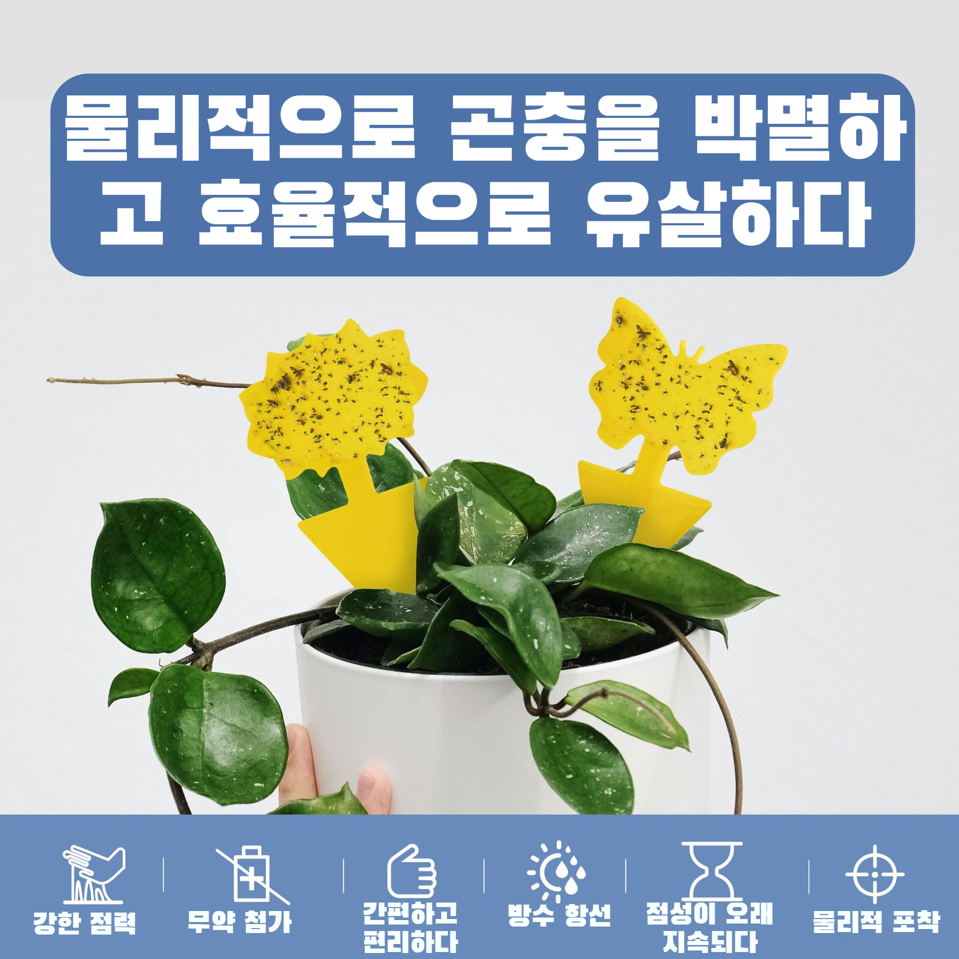 꽃형 이형 점충판 점충판 곤충유포기 곤충유포기 옐로우보드 꽃형 이형유포기