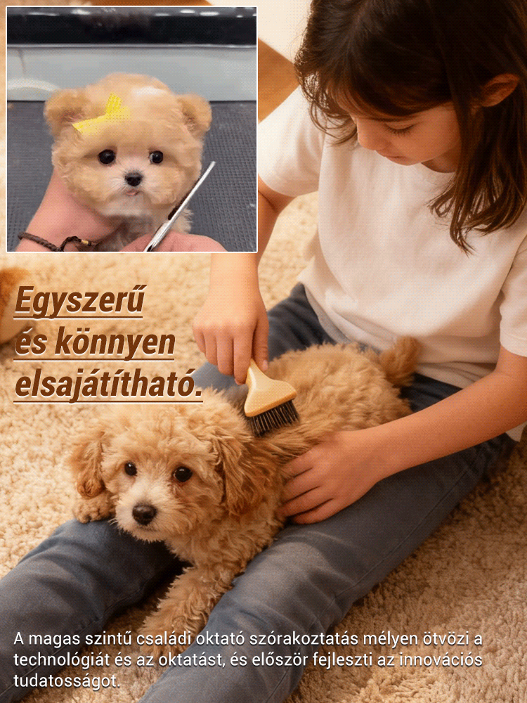 Bionikus intelligens mesterséges intelligencia társ háziállatoknak: Nincs gond a kutyagondozással! 