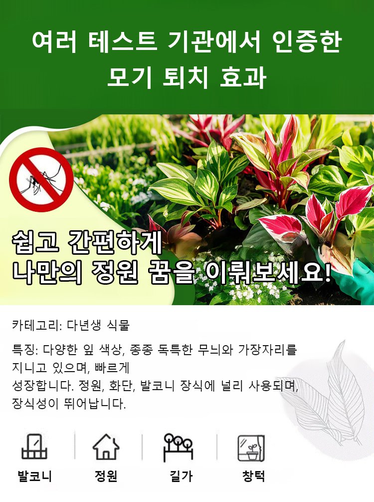 翻译件-HFH-稀有彩叶玉簪花种子-1286342_01.jpg