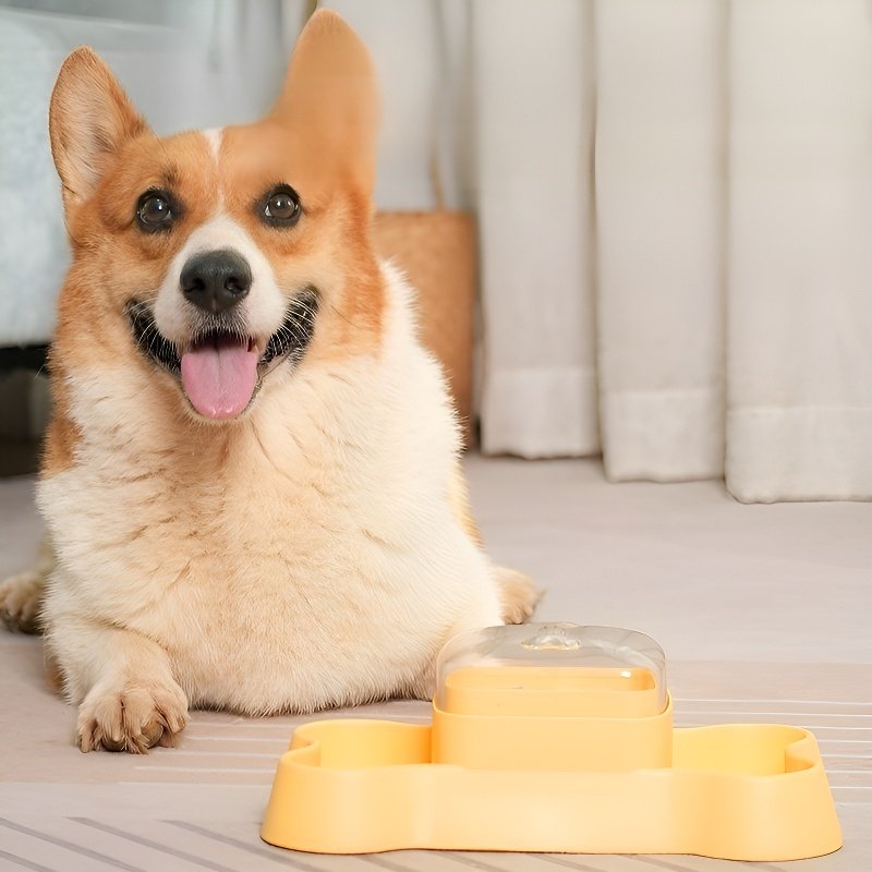 distributeur automatique de nourriture pour animaux de compagnie