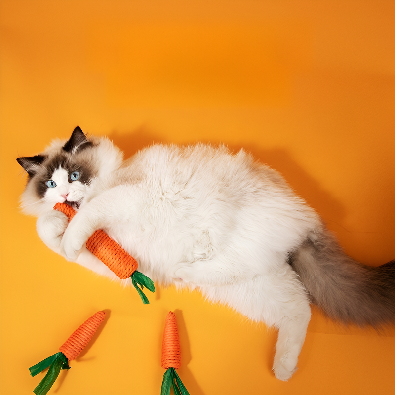 Bâtonnet jouet carotte sonore pour chat