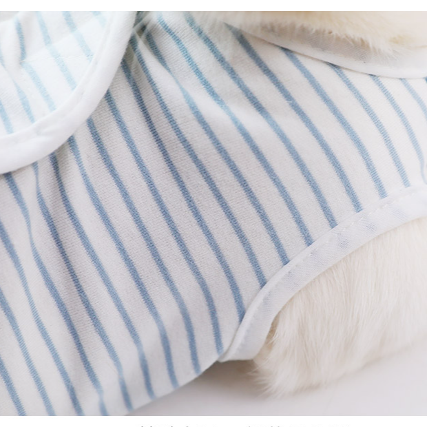 貓咪護理服 薄款防舔透氣衣服