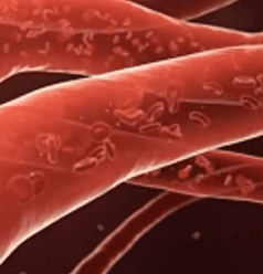 Honeycam 2025-10-14 15-24-14.gif