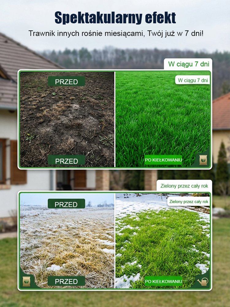 【Kiełkowalność 99%】Całoroczne mrozoodporne nasiona trawy na trawnik