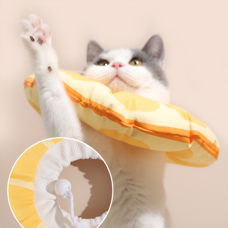 반려동물 핥기 방지 목걸이