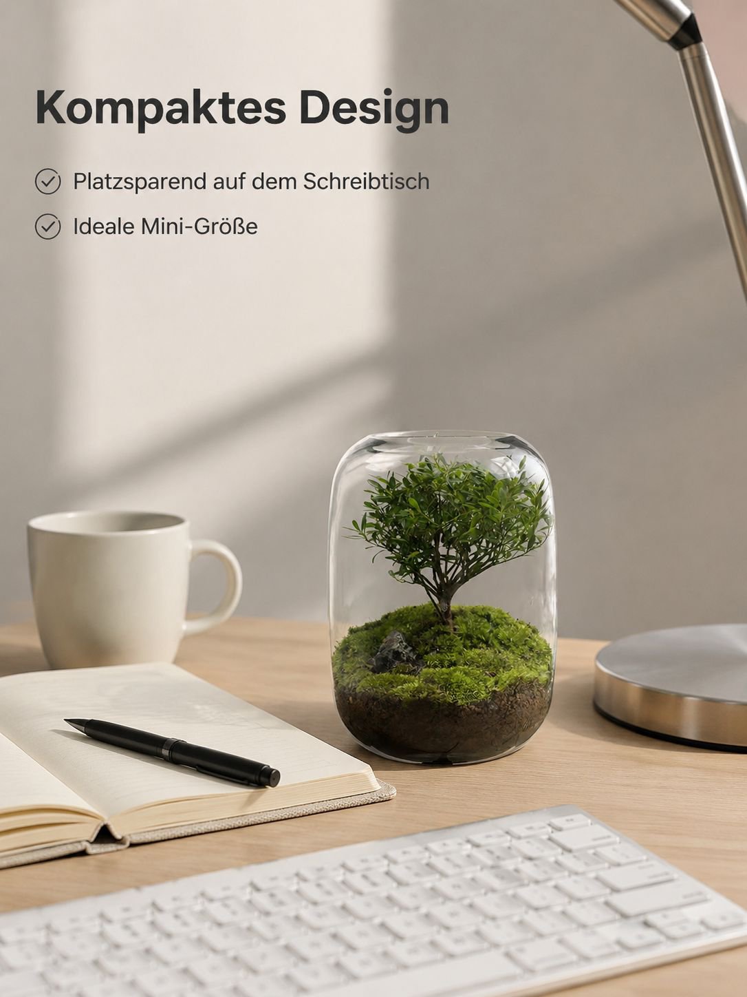 Tischpflanzen Mini-Ökosystem-Flasche