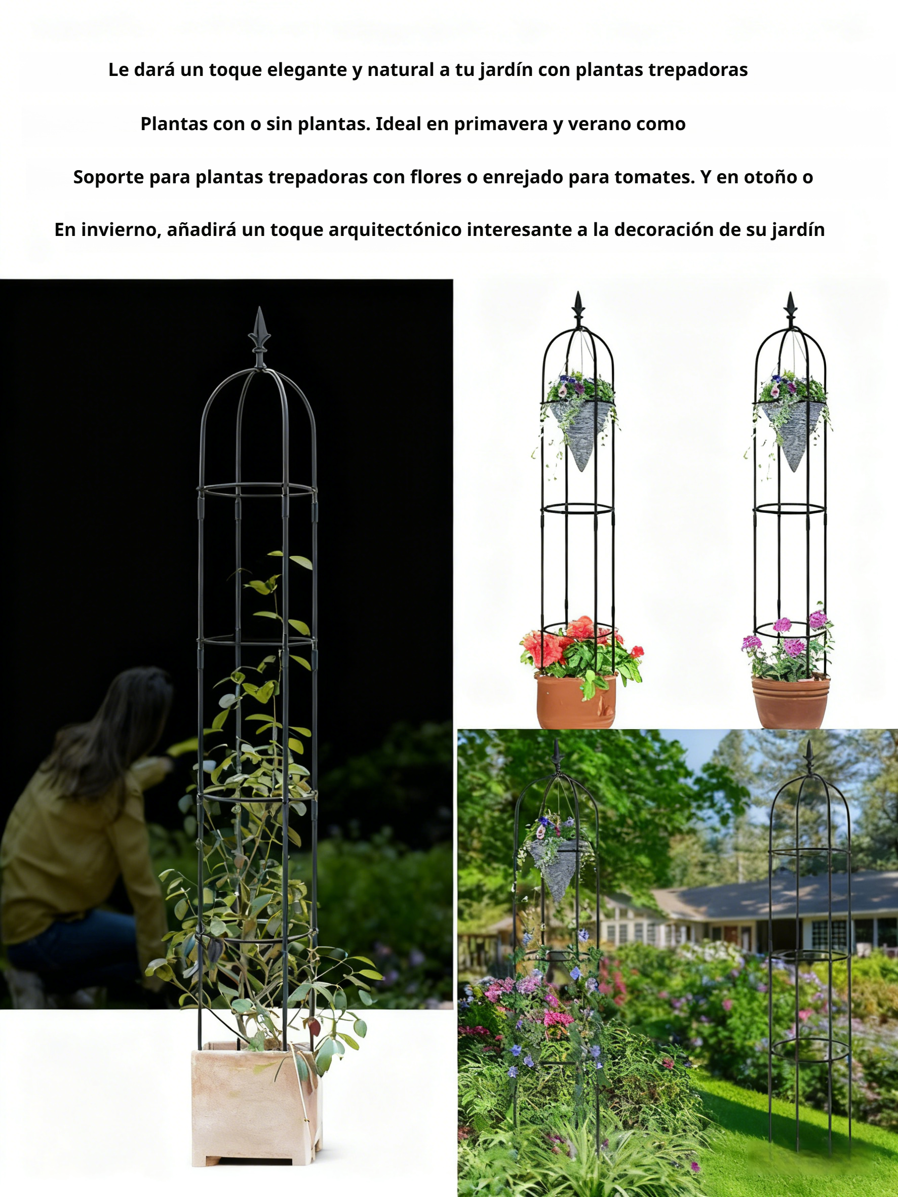 Soporte metálico para enredaderas y trepadoras