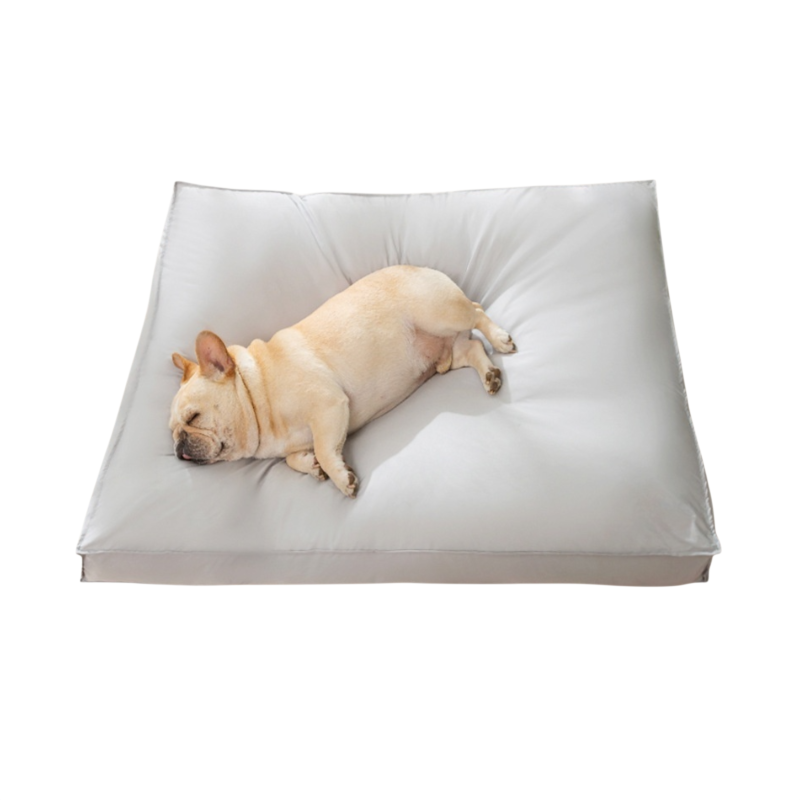 방수 및 세탁 가능한 강아지 매트