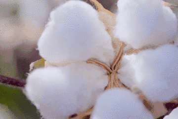 b1b27bbf5c1b393891b8b587d72395bc.gif