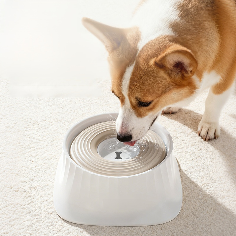 Cuenco lento para mascotas