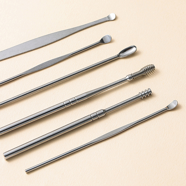 Stainless Steel Ear Pick 6-Piece Set 