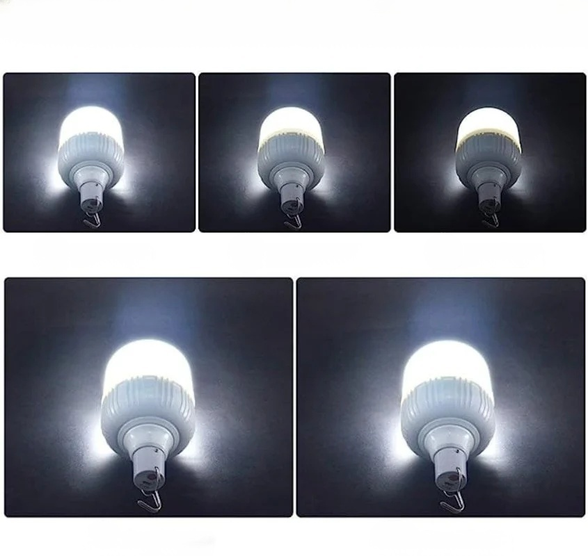 Portable LED pendant light bulb