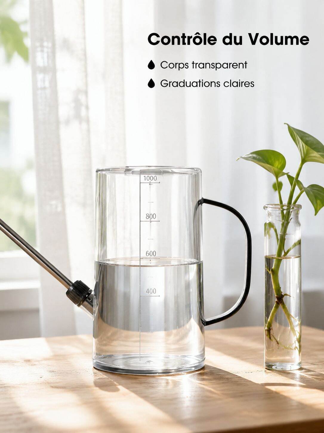 Arrosoir transparent gradué en acier inoxydable, outil pour plantes en pot